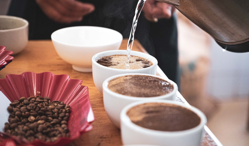 Speciality Coffee Cupping: Mehrere Tassen mit Kaffeemehl, Wasser wir mit Wasserkocher hineingegossen