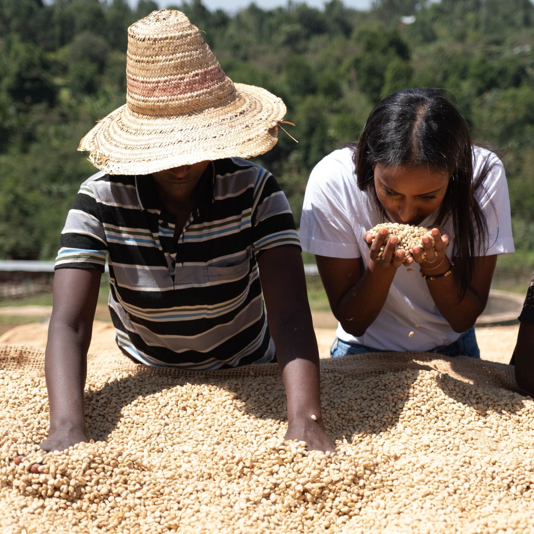 Gründerinnen Sali und Sara auf Kaffeefeld / nurucoffee: Bio-Kaffee mit social impact aus fairem Handel und nachhaltig produziert in Äthiopien