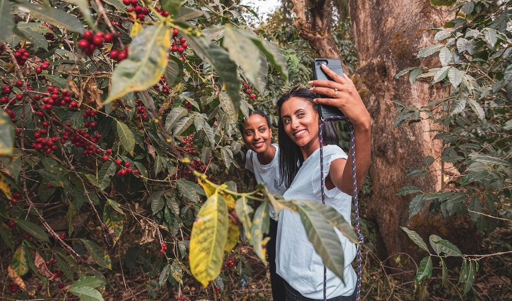 Wir suchen dich als Content Creator*in / Social Media Manager*in!