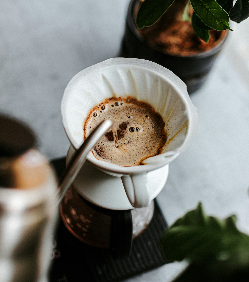 Hario V60 Filter während der Zubereitung - nuruCoffee